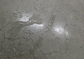 Wet Floor Contamination Causes Slips