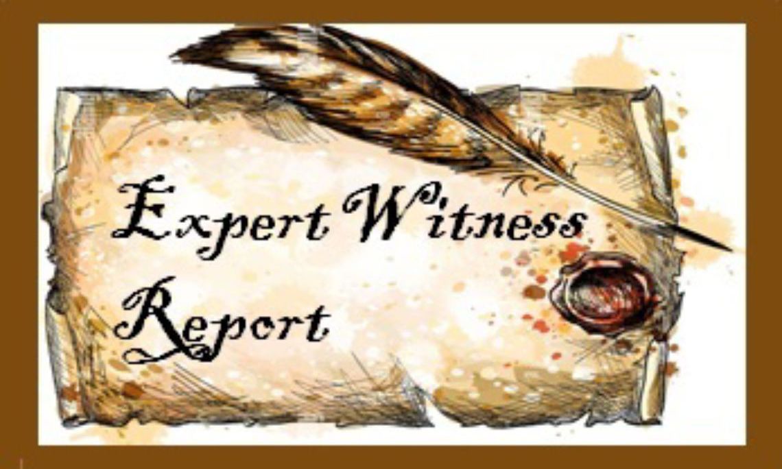 Expert Witness Reports