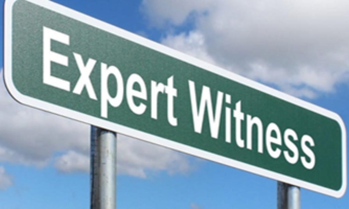 EXPERT WITNESS SERVICES