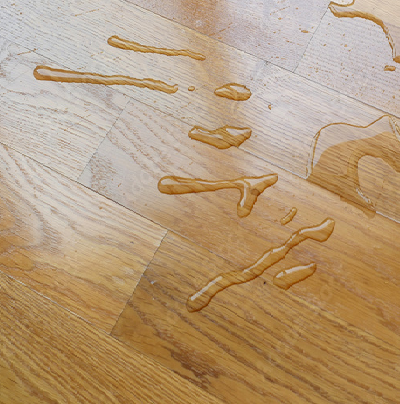Wet floors cause 95% of all floor slips